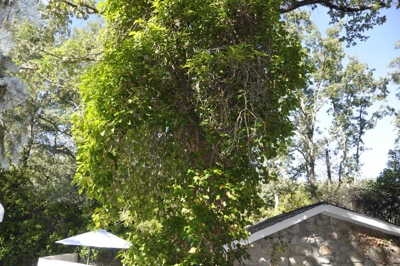 Espejo De Soledades Villa Vigo de Sanabria Dış mekan fotoğraf